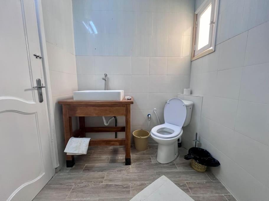 Dar Zakaria Toursitic Area Lägenhet Tozeur Exteriör bild
